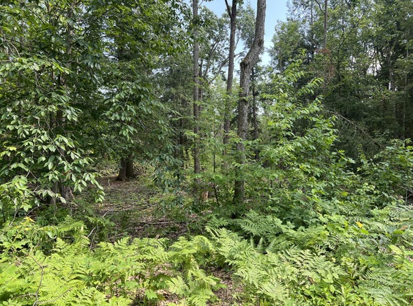 4649 Wah Wah Soo Drive, Gaylord, MI 49735