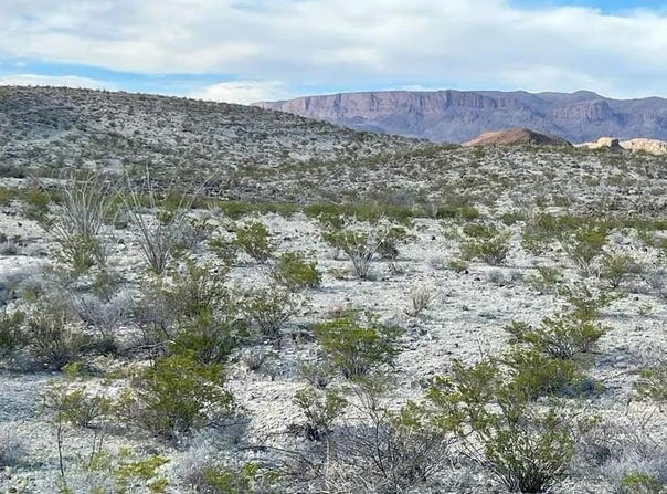 19795 & Reimers Road, Terlingua, TX 79852