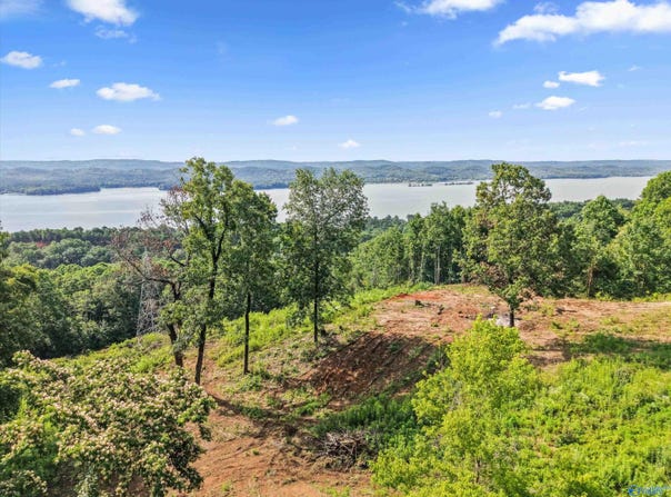 423 Keene Point Drive, Grant, AL 35747