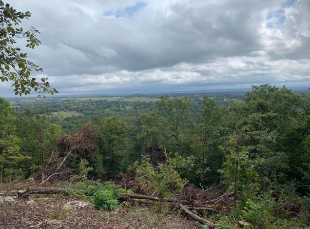 Ward Cove, Greenbrier, AR 72058