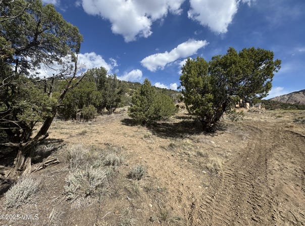 262 Stephens Drive, Dotsero, CO 81637