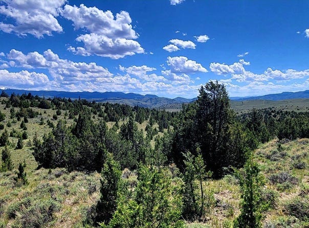 Tract_5A 3 Springs (lower portion) Trail, Alder, MT 59710