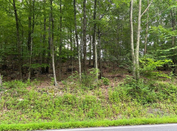 Farber Cir 31, Tannersville, PA 18372