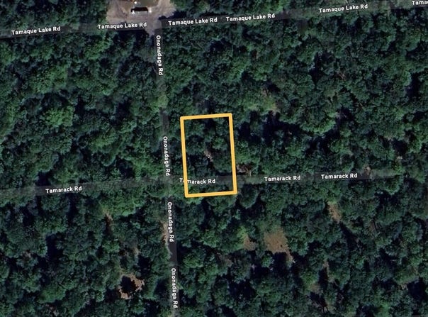 Onondaga Road, Pocono Pines, PA 18350
