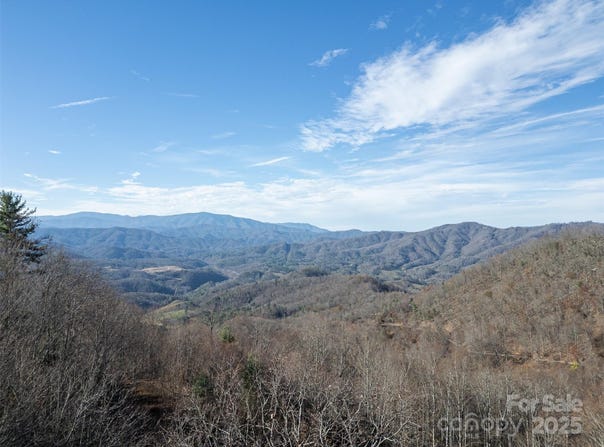 1098 Hyacinth Drive, Clyde, NC 28721