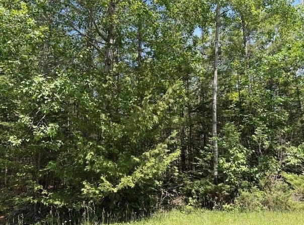 E Renwick Circle lot: 86, Presque Isle, MI 49777