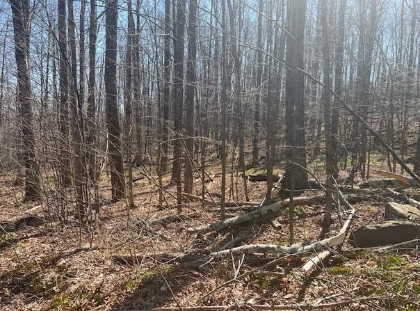 Wheeler Road, Moscow, PA 18444