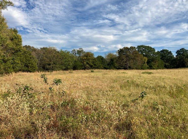 TBD** Alicia Lane, Howe, OK 74940