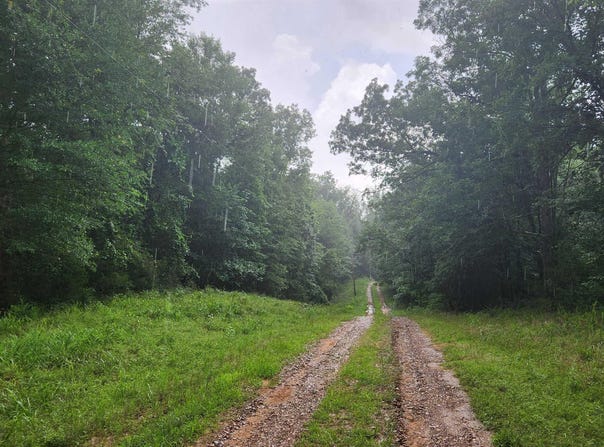 TBD Markerville Road, Story, AR 71970-9999