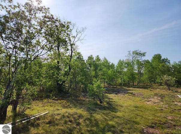 4935 LINDSEY LANE, GAYLORD, MI 49735