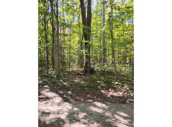 9168 Pine Drive NE, Mancelona, MI 49659