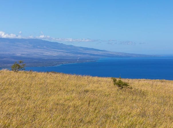 KAMAKANI LOOP, Kamuela, HI 96743