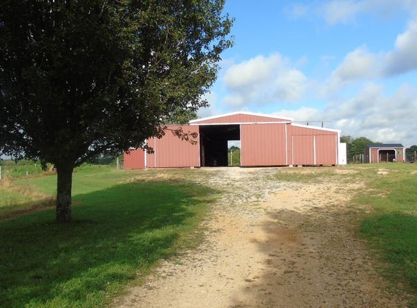8235 Co Rd 25, Killen, AL 35645