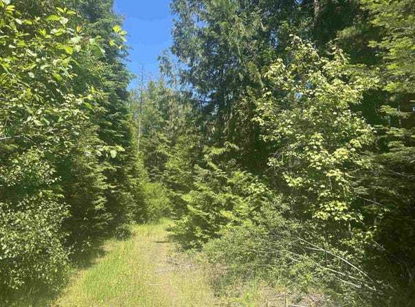 N Foster Ln, Cusick, WA 99180
