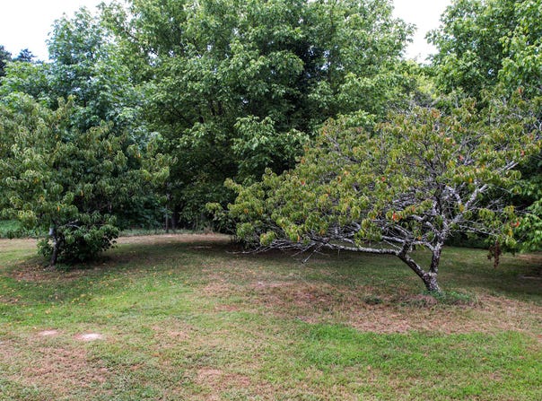 0 Pikes Drive, Trenton, GA 30752