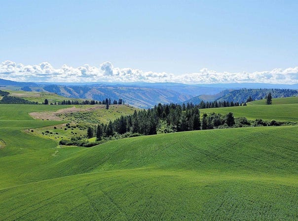 Basket Rd, Nezperce, ID 83543