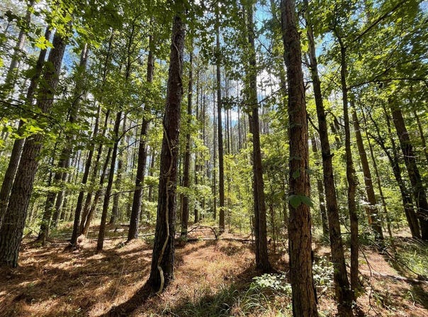 Hwy 7, Grenada, MS 38901