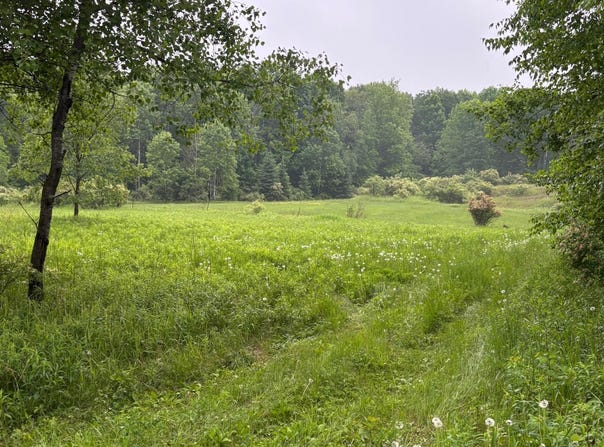Lot VALLEY RD, WI 54414