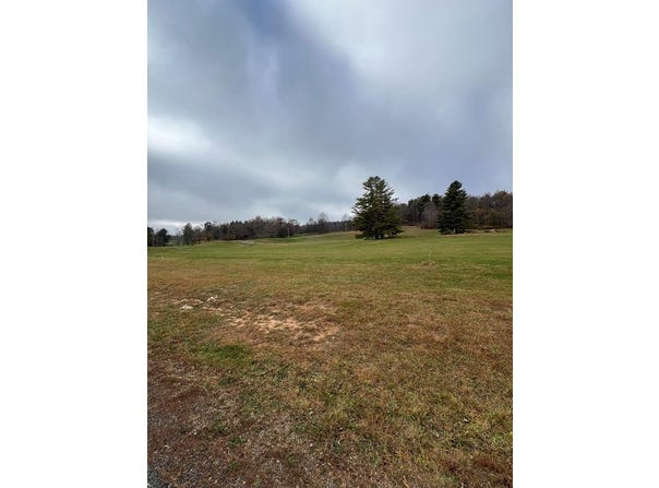 Tbd Holly Lane, Fancy Gap, VA 24328