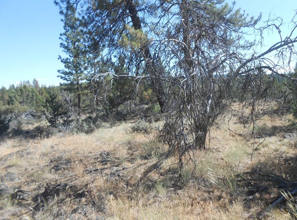 0 Ground Squirrel Drive, Bonanza, OR 97623