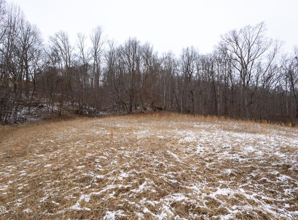 0 Little Sycamore Road, Tazewell, TN 37879