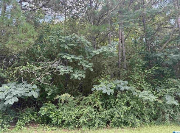 1721 QUAIL RIDGE DRIVE lot: 17, GARDENDALE, AL 35071