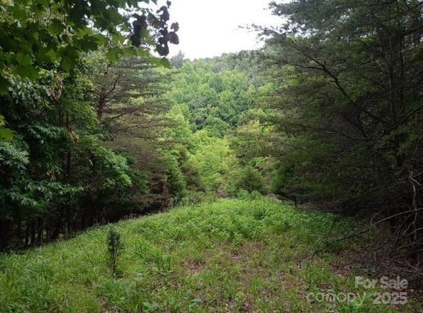 2255 NC Hwy 268, Wilkesboro, NC 28697