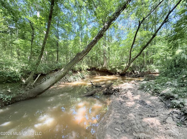 Jackson Liberty Drive, Smithdale, MS 39664
