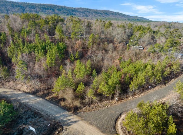 20  Red Bird Ridge, Smithville, OK 74957