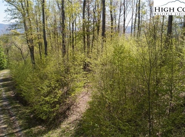 Tbd Olde Forest #57 Lane, Banner Elk, NC 28604