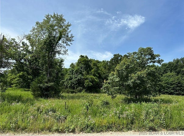 Lot 4r Lick Creek Road, Edwards, MO 65326