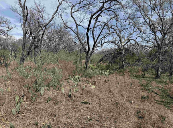 Lot 294 Pinemont Drive, Kingsland, TX 78639