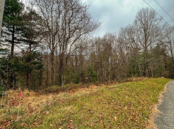 Lot 115 Old Hollow Trail, Fancy Gap, VA 24328