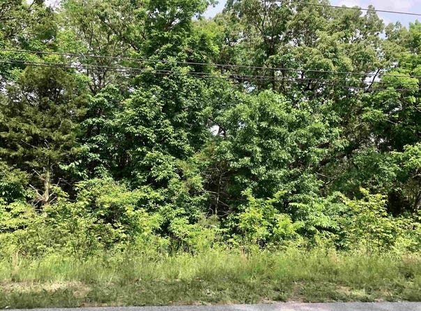 Lakeview Drive, Hardy, AR 72542