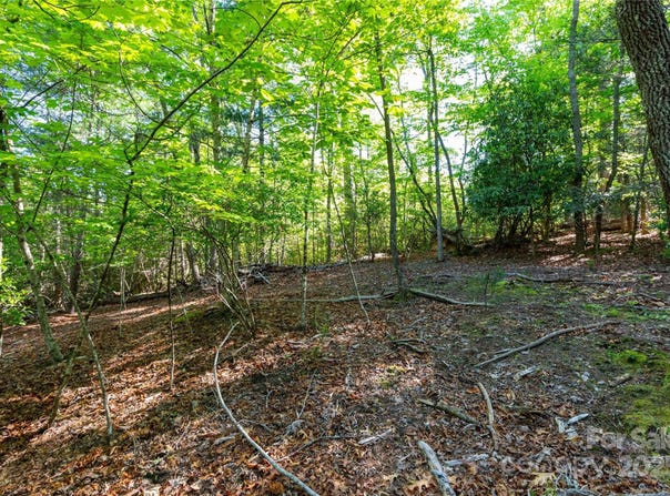 76 Drovers Lane, Fairview, NC 28730