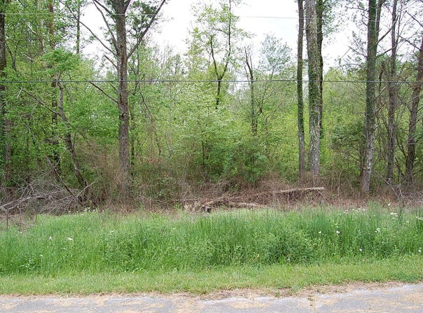 66 51st Avenue, Gruetli Laager, TN 37339