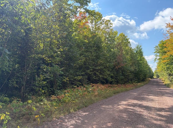 ON FREBURGS RD, Saxon, WI 54559