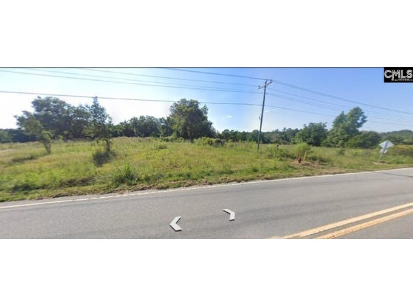1304 Amicks Ferry Road, Chapin, SC 29036