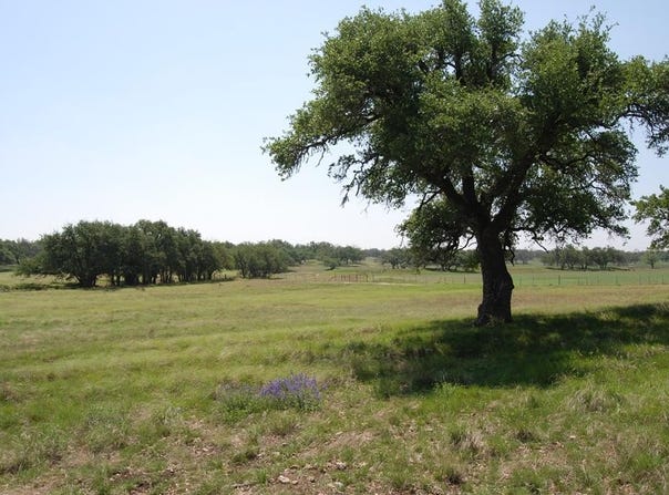 2165 FM 479, Harper, TX 78631