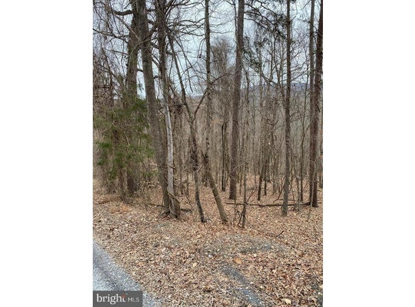 60 OLD OREGON Road, FRONT ROYAL, VA 22630