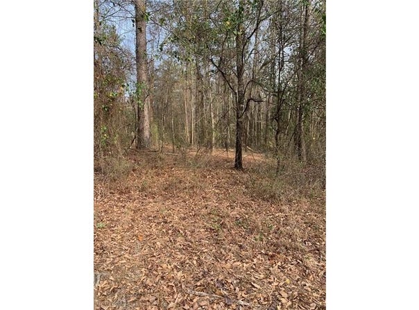 Wright Road, Phenix City, AL 36867