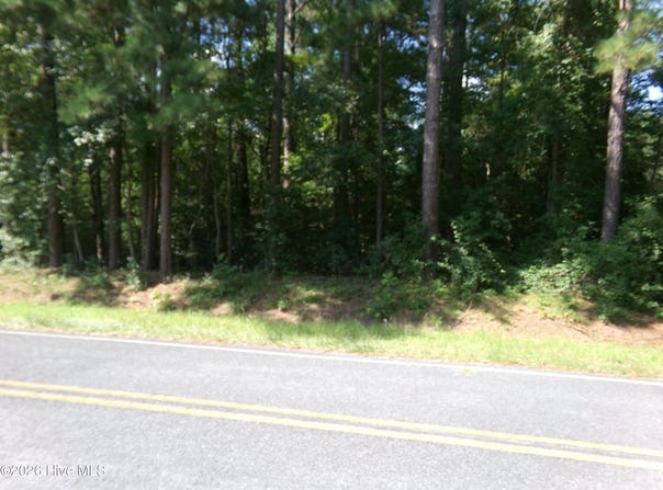 1701 State Road, Clarkton, NC 28433