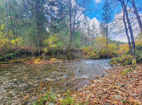 1338 Thompson Creek Road, Selma, OR 97538