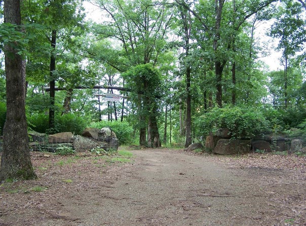 1307 Dodd Mtn. Rd., Shirley, AR 72153