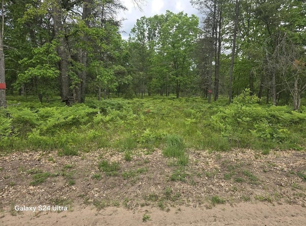 S Forman Road, Baldwin, MI 49304