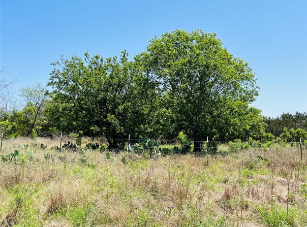 Tbd FM 243, Bertram, TX 78605