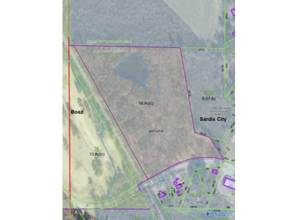 16 Acres Highway 205, Boaz, AL 35956