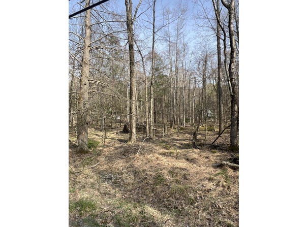 Lot 814 White Pine Drive, Pocono Lake, PA 18347