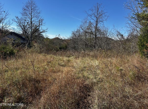 Shaddon Road Lot 1, Tellico Plains, TN 37385