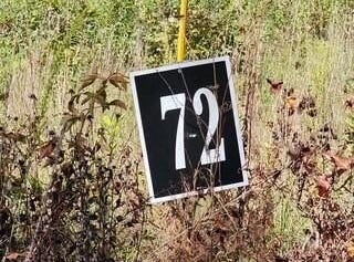 Tomahawk Rd lot: 72, Jamestown, TN 38556